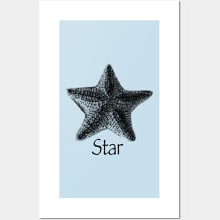 Star. Pretty starfish design Posters and Art